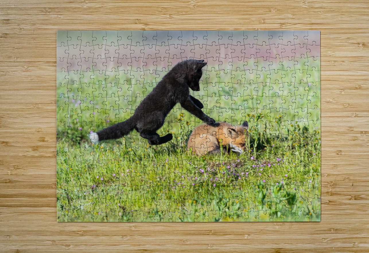 Red Fox Kits Randy Tremblay Photography Puzzle printing