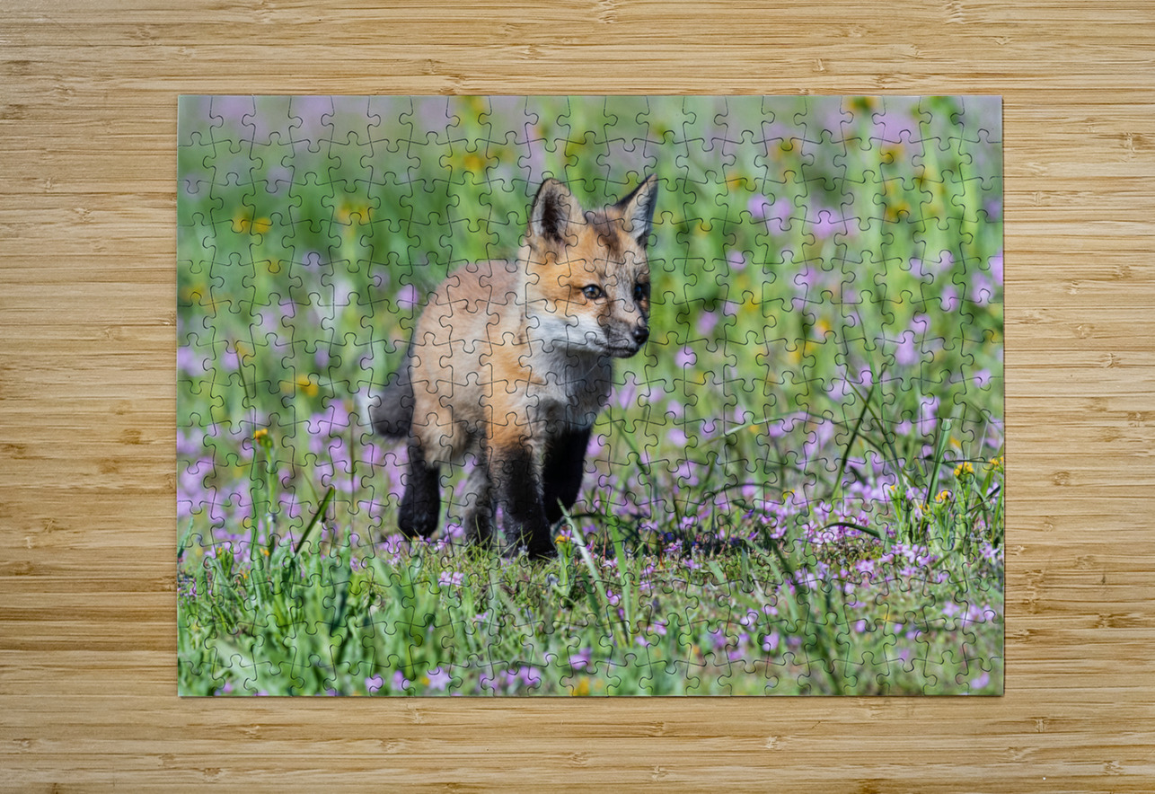 Red Fox Kit Randy Tremblay Photography Puzzle printing