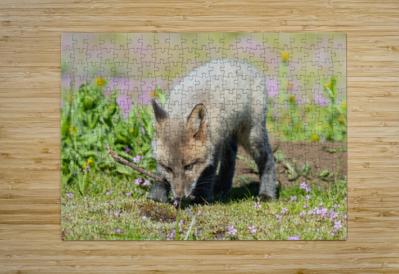 Red Fox Kit Randy Tremblay Photography Puzzle printing