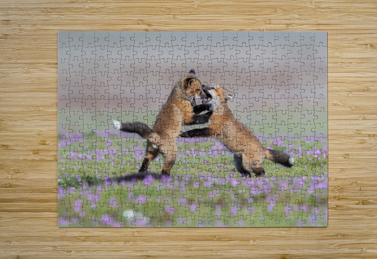 Red Fox Kits Randy Tremblay Photography Puzzle printing