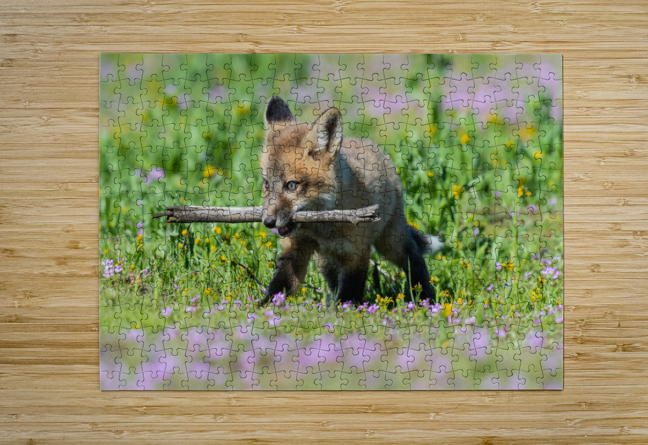 Red Fox Kit Randy Tremblay Photography Puzzle printing