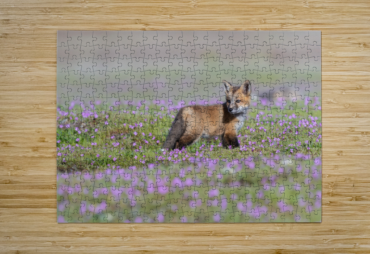 Red Fox Kit Randy Tremblay Photography Puzzle printing