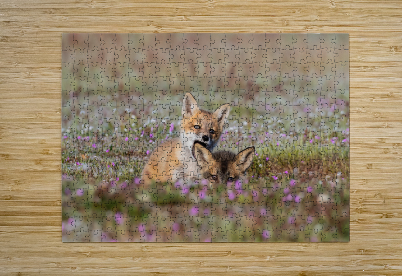Red Fox Kits Randy Tremblay Photography Puzzle printing
