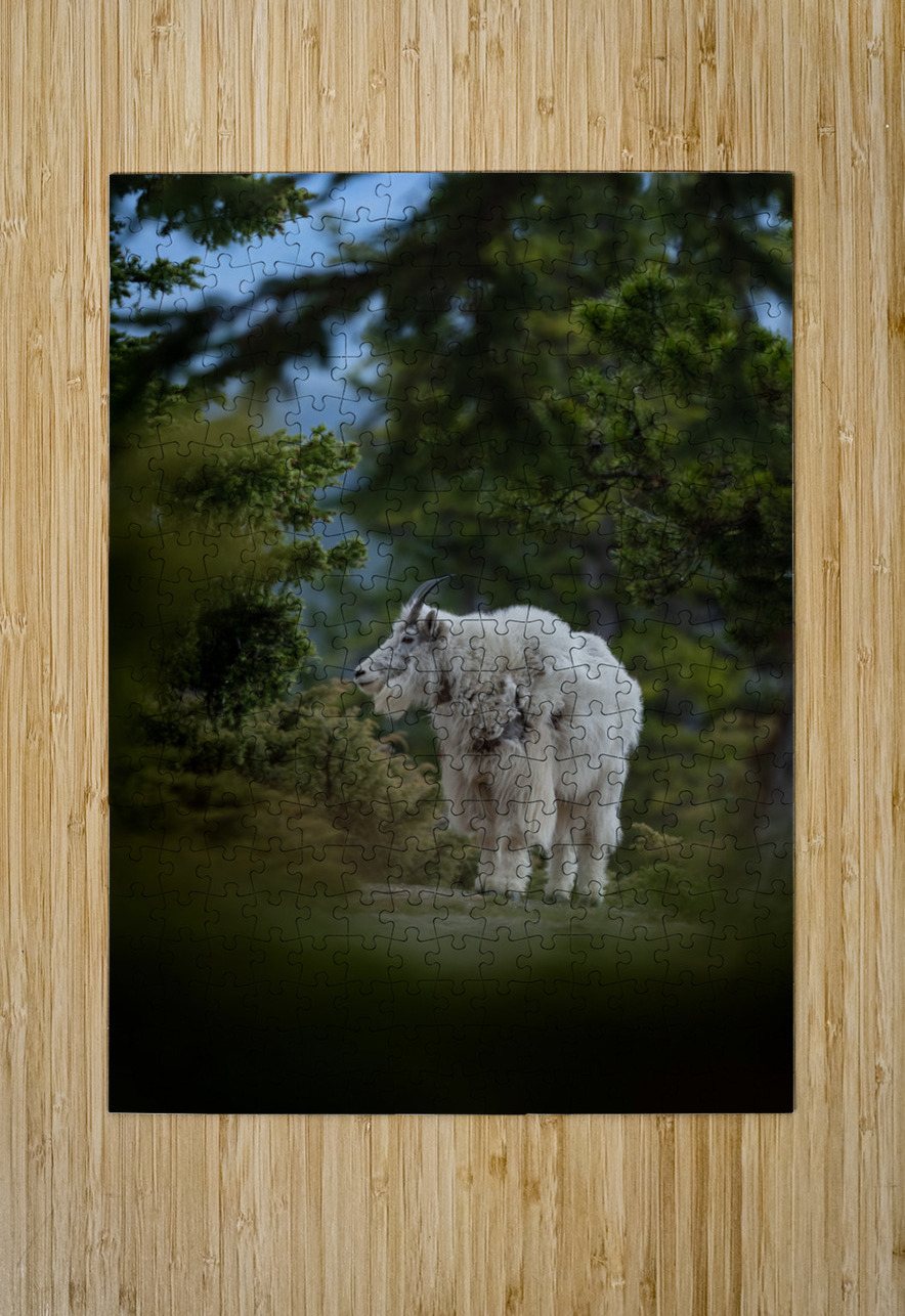 Mountain Goat Randy Tremblay Photography Puzzle printing