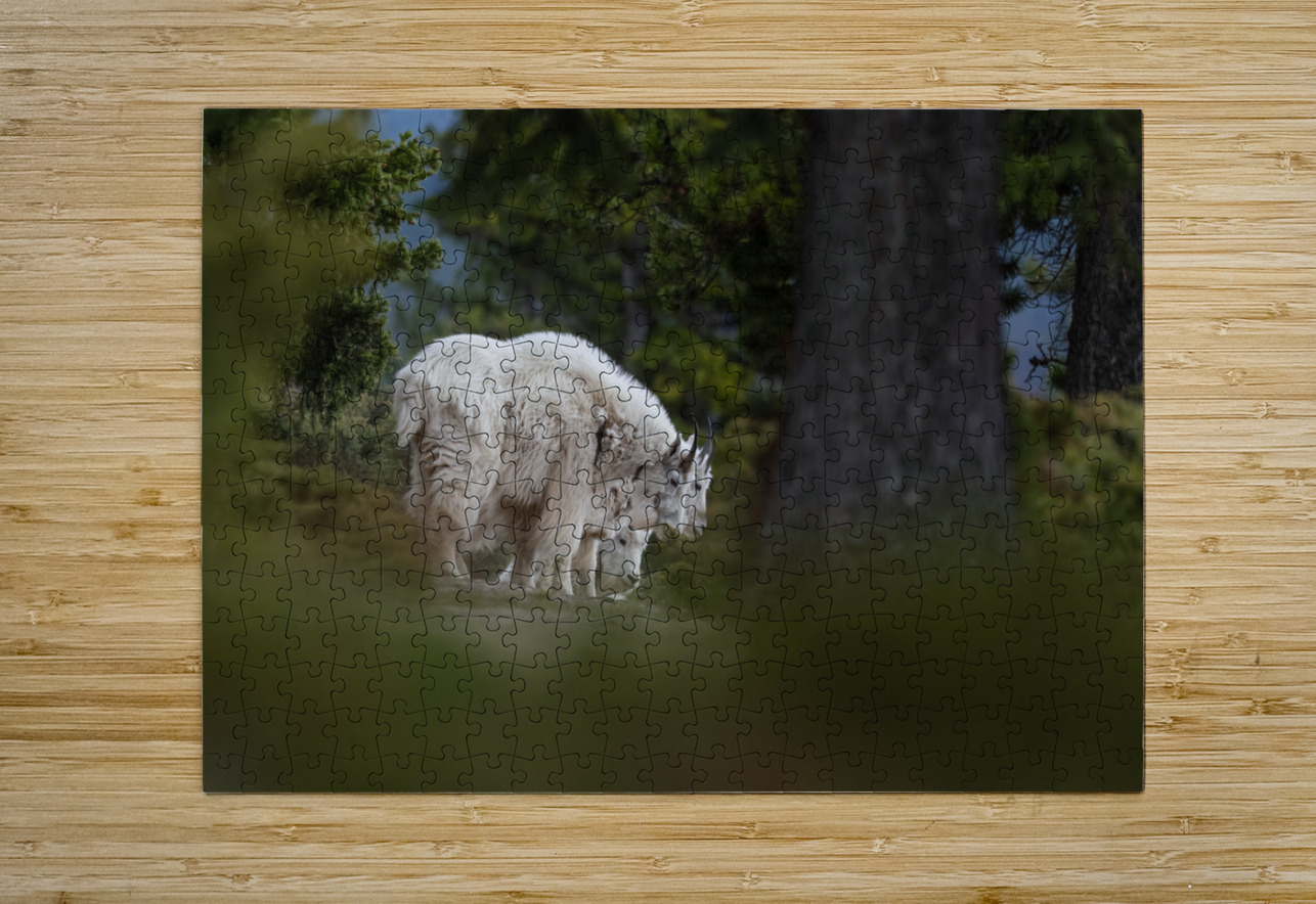 Mountain Goat Randy Tremblay Photography Puzzle printing