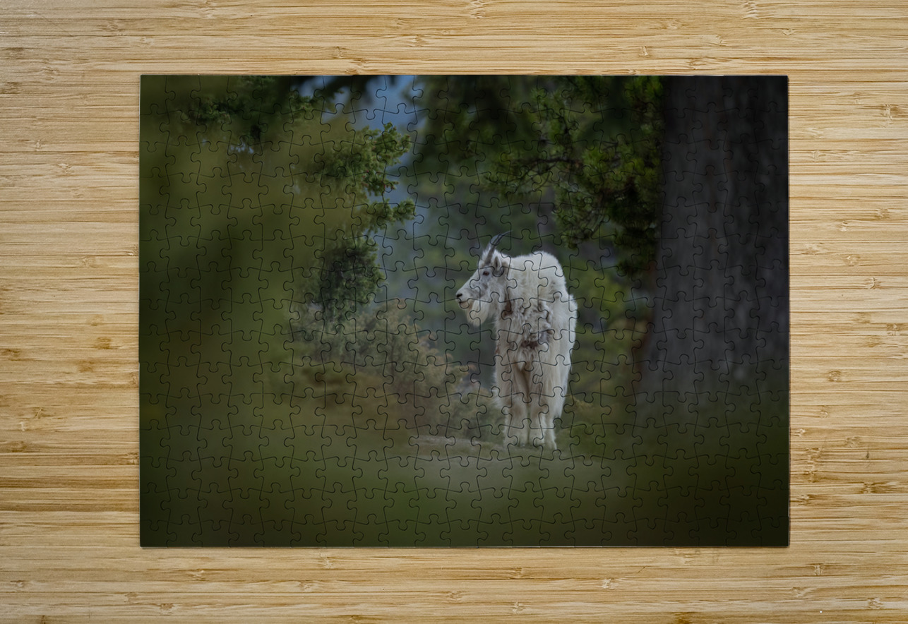 Mountain Goat Randy Tremblay Photography Puzzle printing