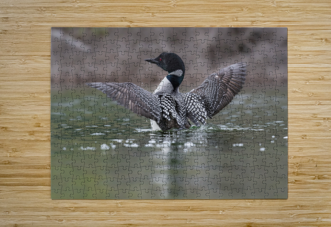 Common Loon Randy Tremblay Photography Puzzle printing