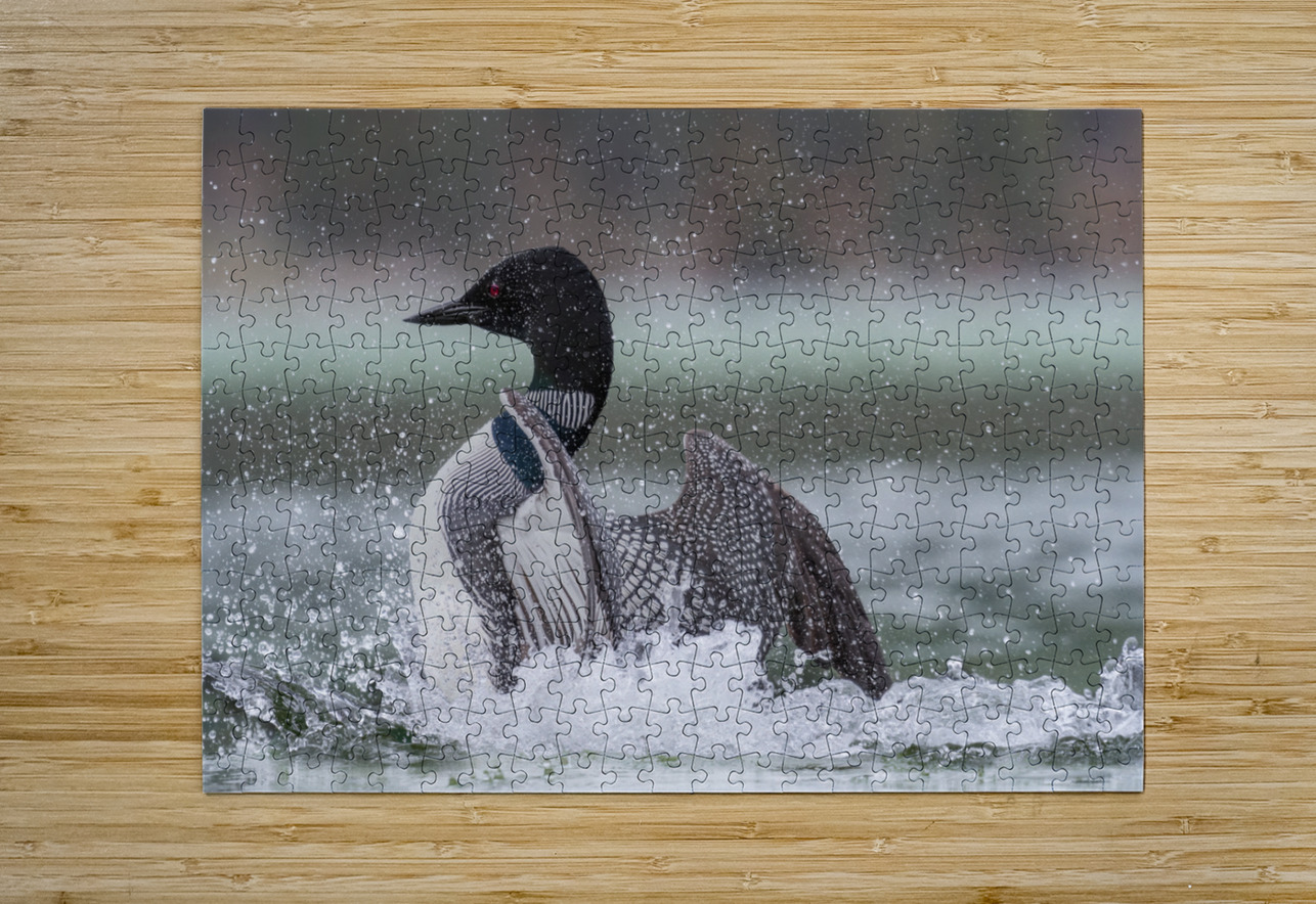 Common Loon Randy Tremblay Photography Puzzle printing