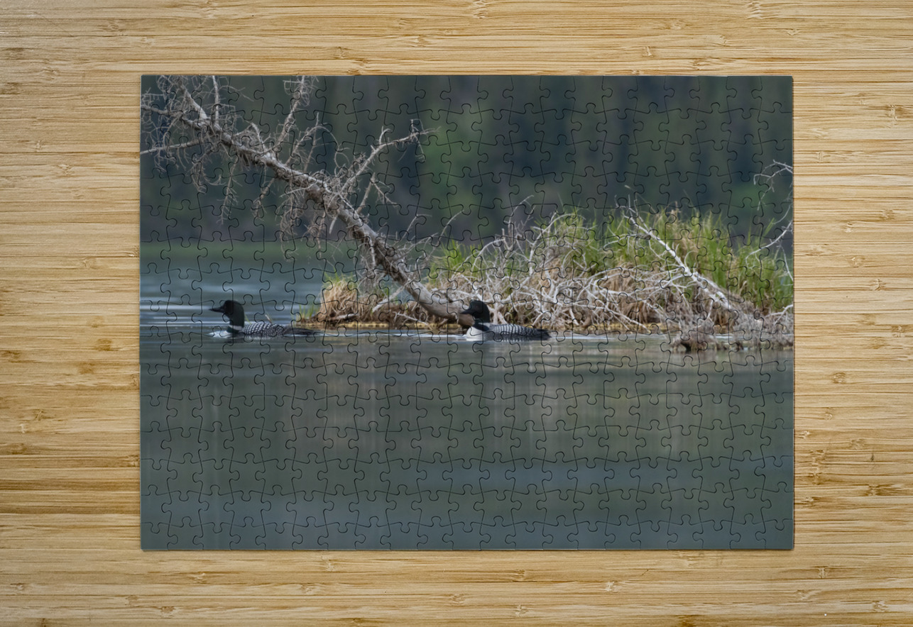Common Loons Randy Tremblay Photography Puzzle printing