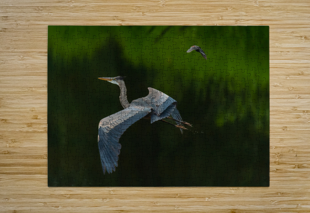 Great Blue Heron Randy Tremblay Photography Puzzle printing