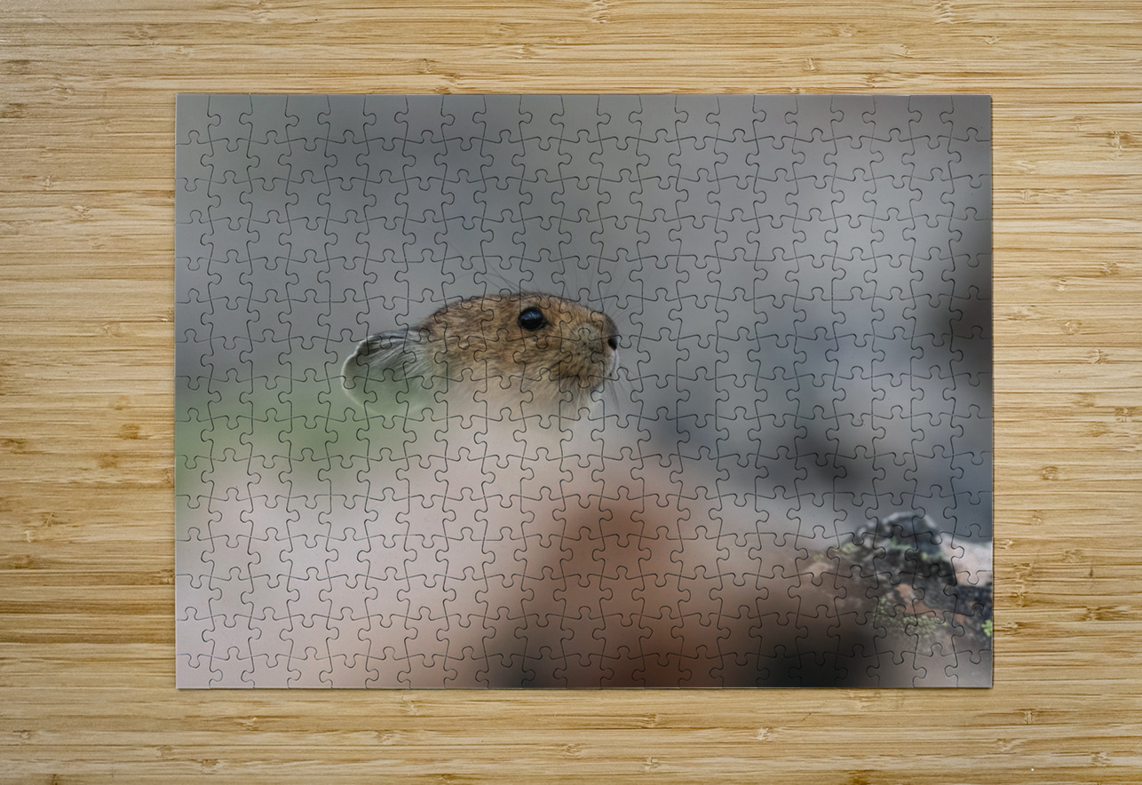American Pika Randy Tremblay Photography Puzzle printing