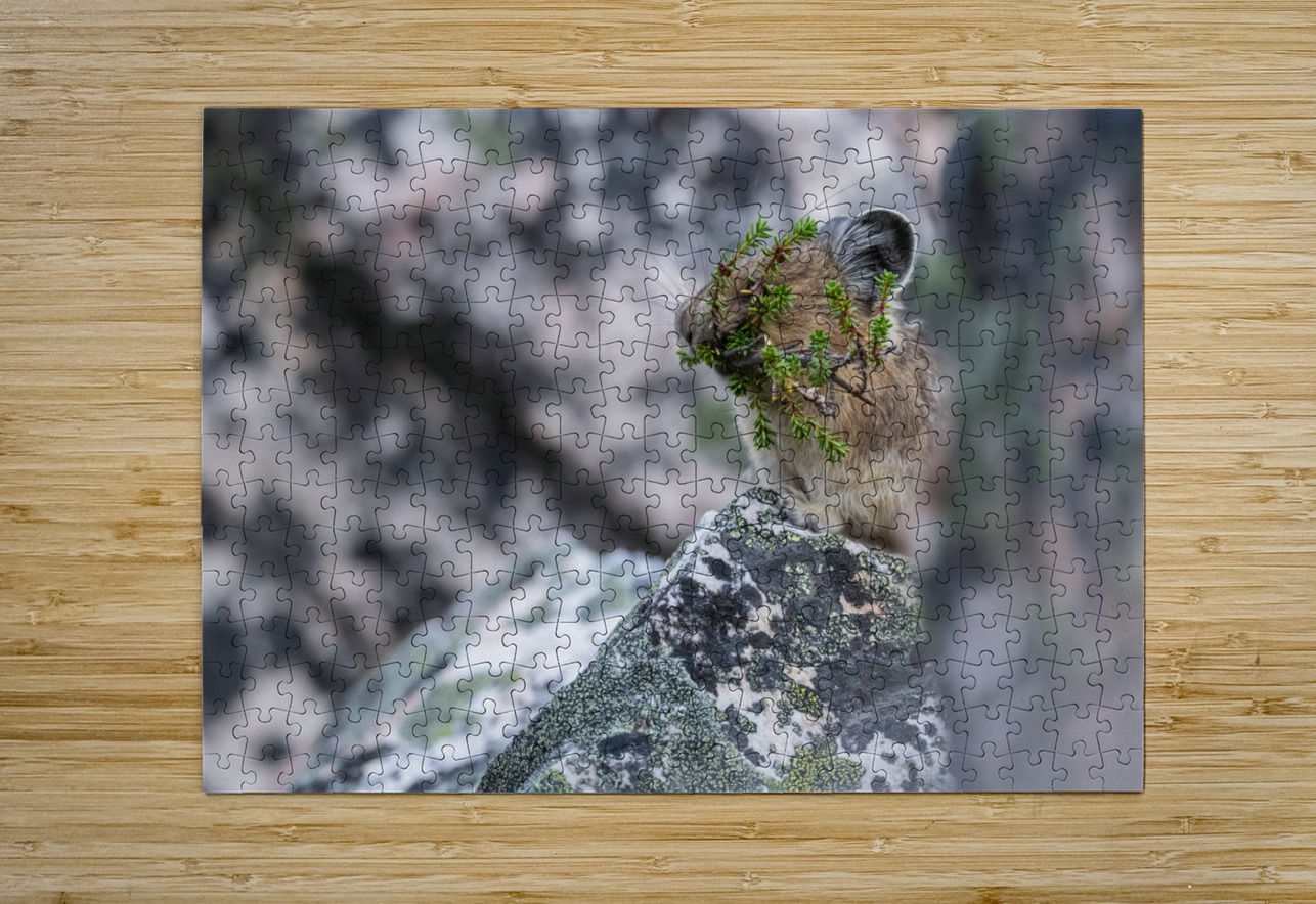 American Pika Randy Tremblay Photography Puzzle printing