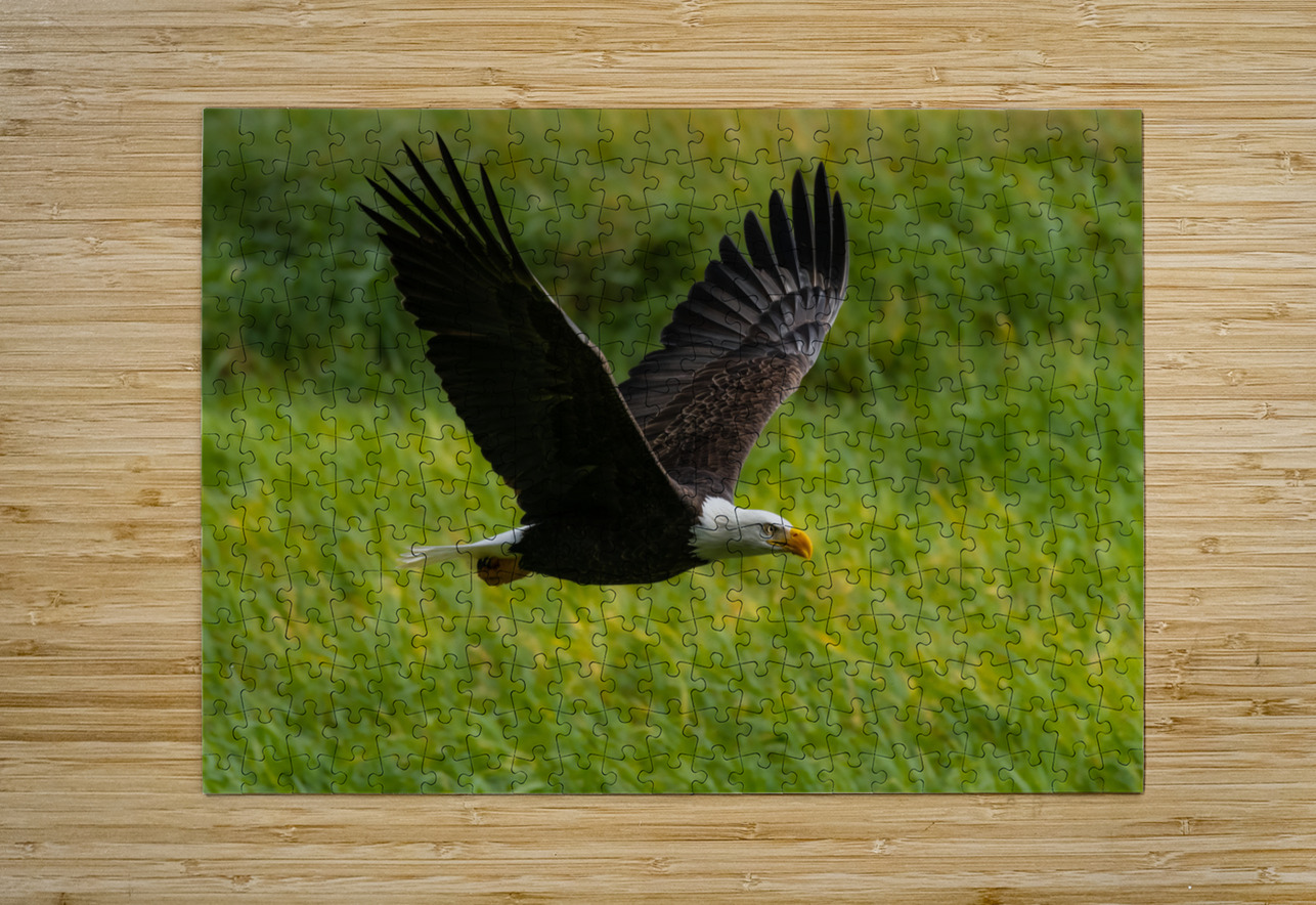 Bald Eagle Randy Tremblay Photography Puzzle printing