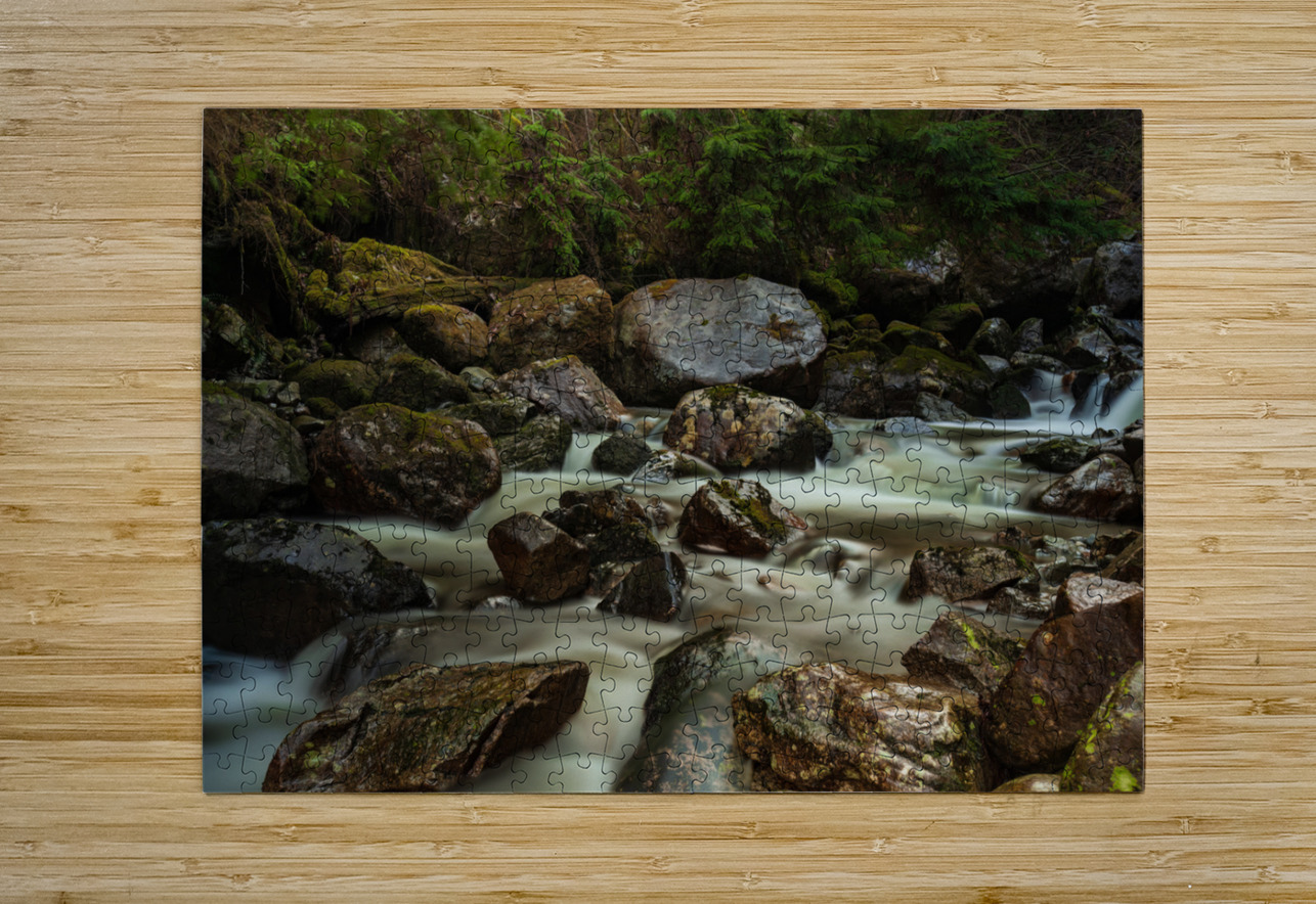 Forest Stream Randy Tremblay Photography Puzzle printing