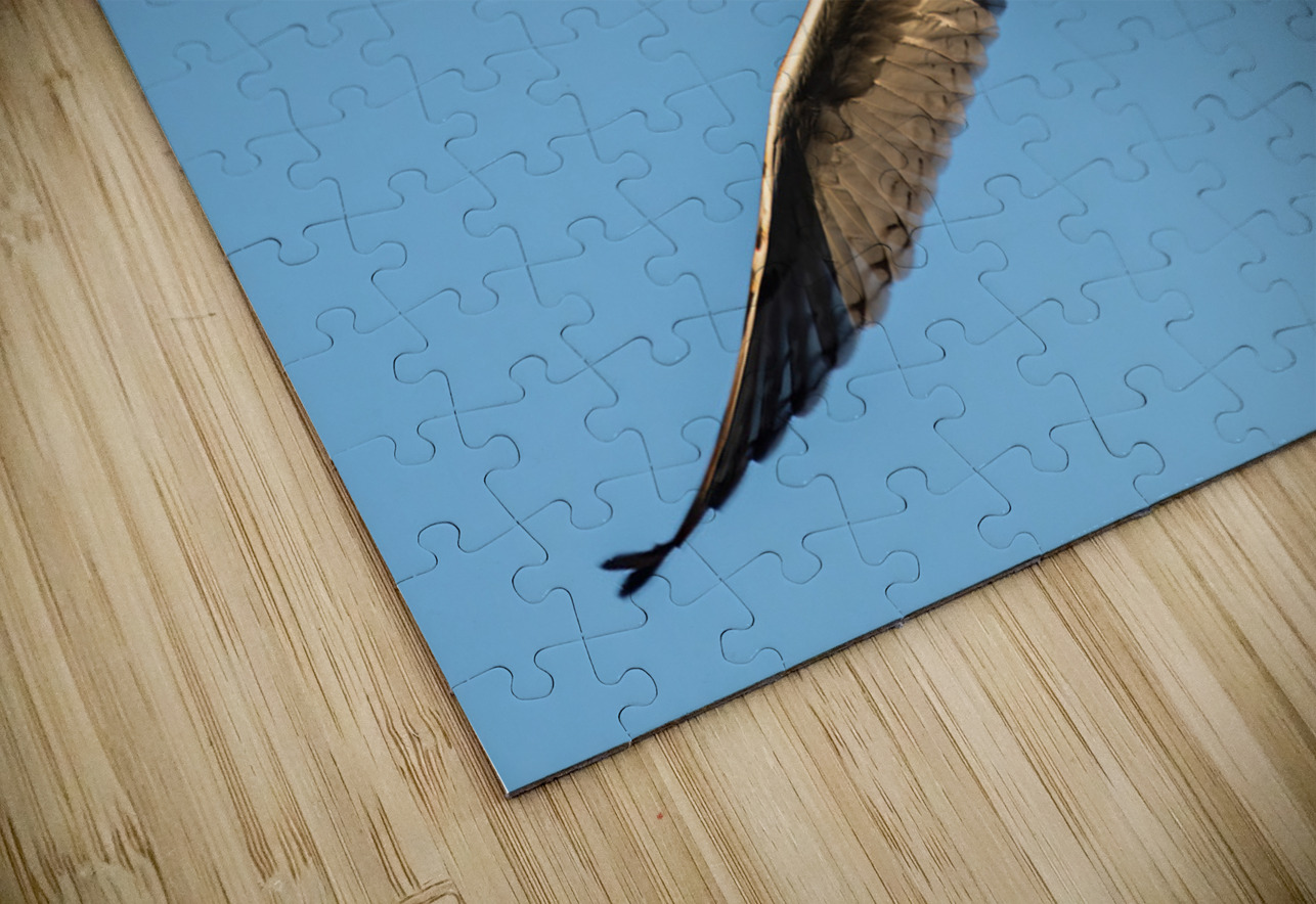 Short-eared Owl Randy Tremblay Photography Puzzle