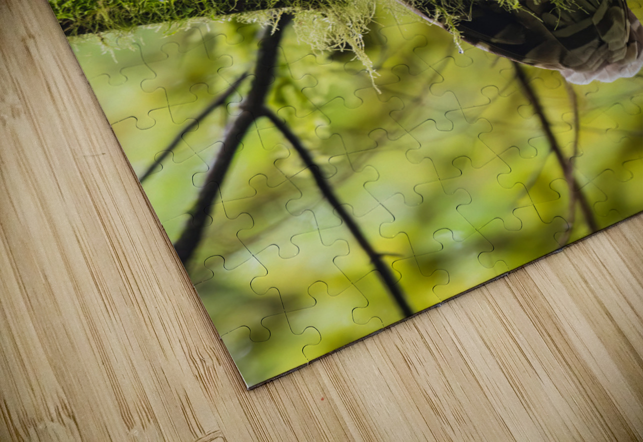 Barred Owl Randy Tremblay Photography Puzzle