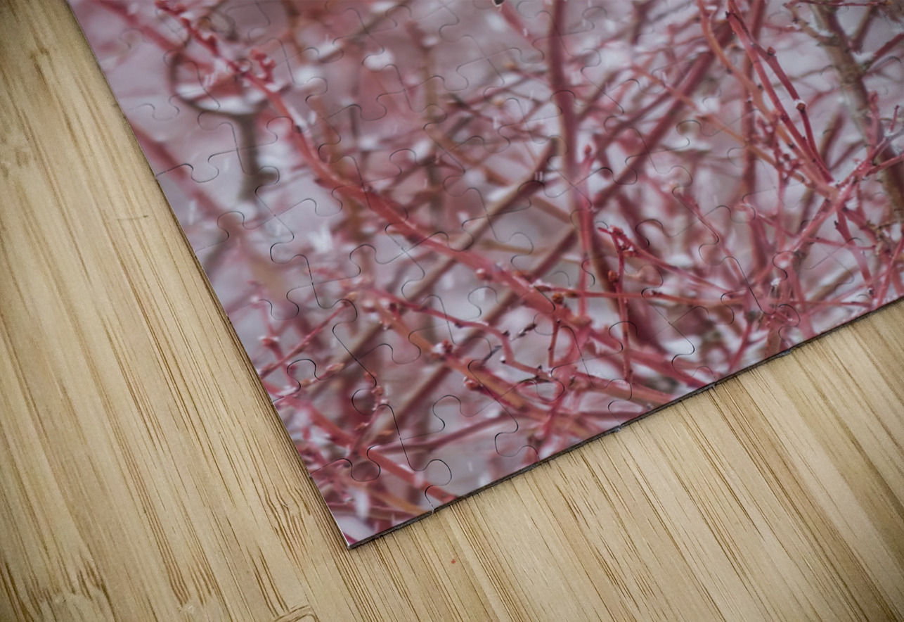 Northern Hawk Owl Randy Tremblay Photography Puzzle