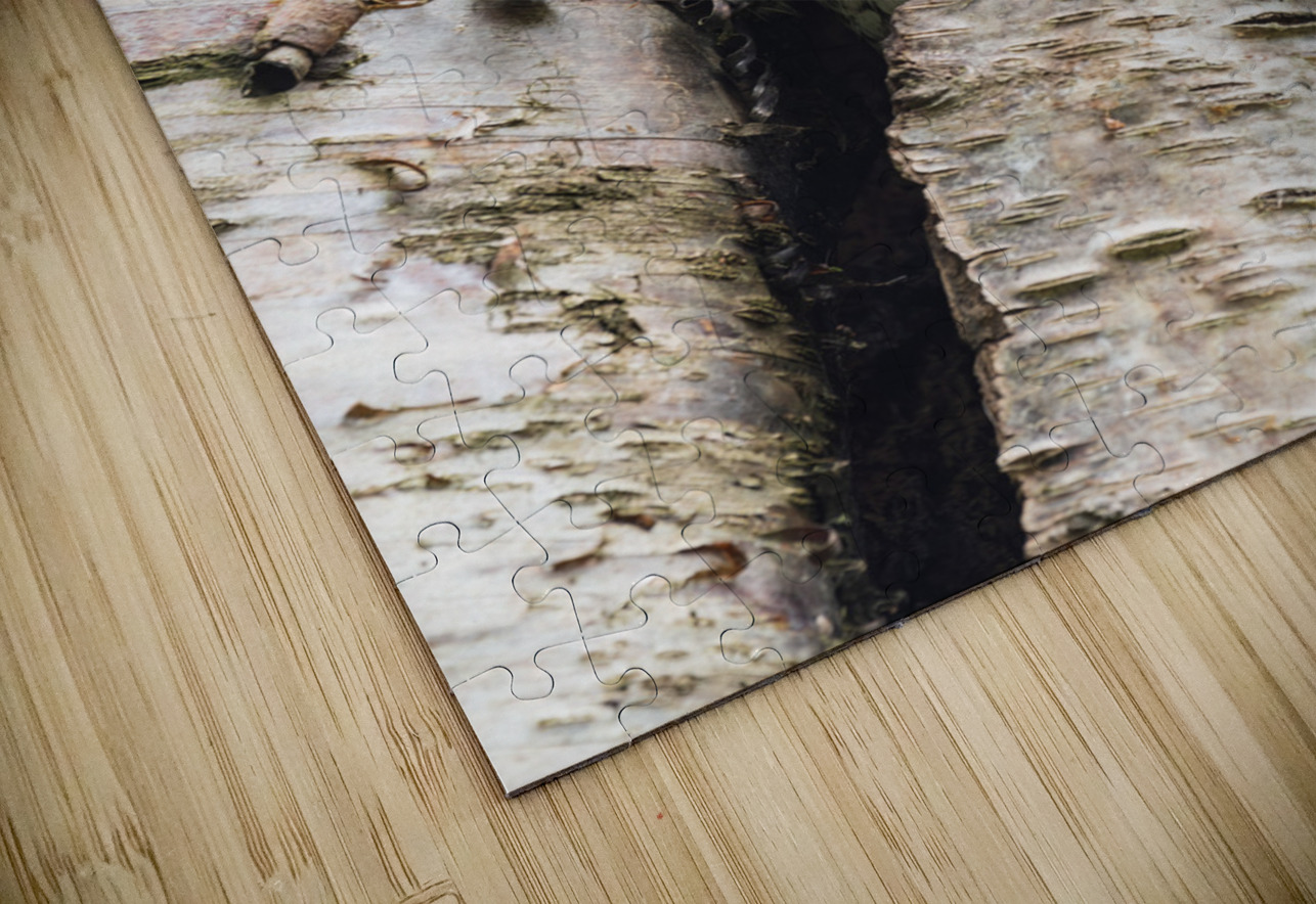 Western Screech Owl Randy Tremblay Photography Puzzle