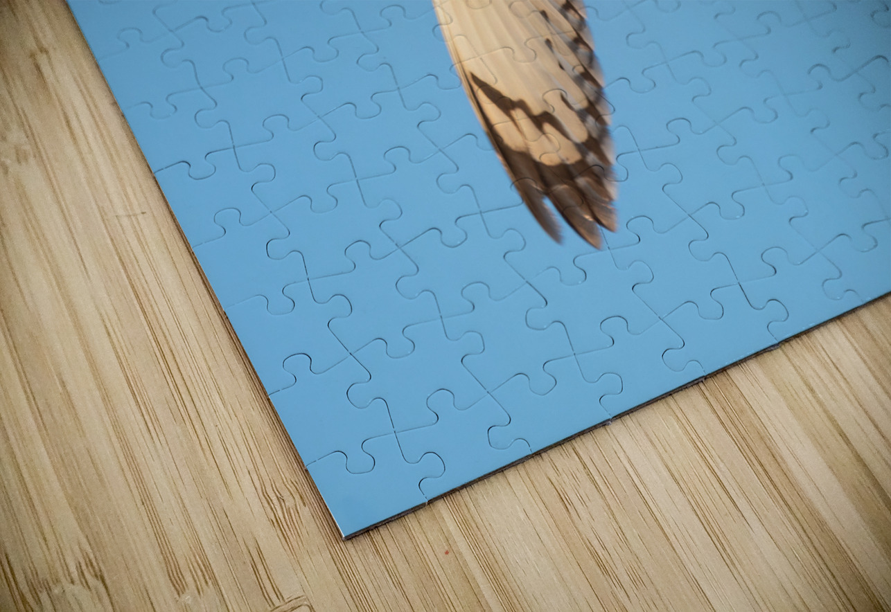 Short-eared Owl Randy Tremblay Photography Puzzle