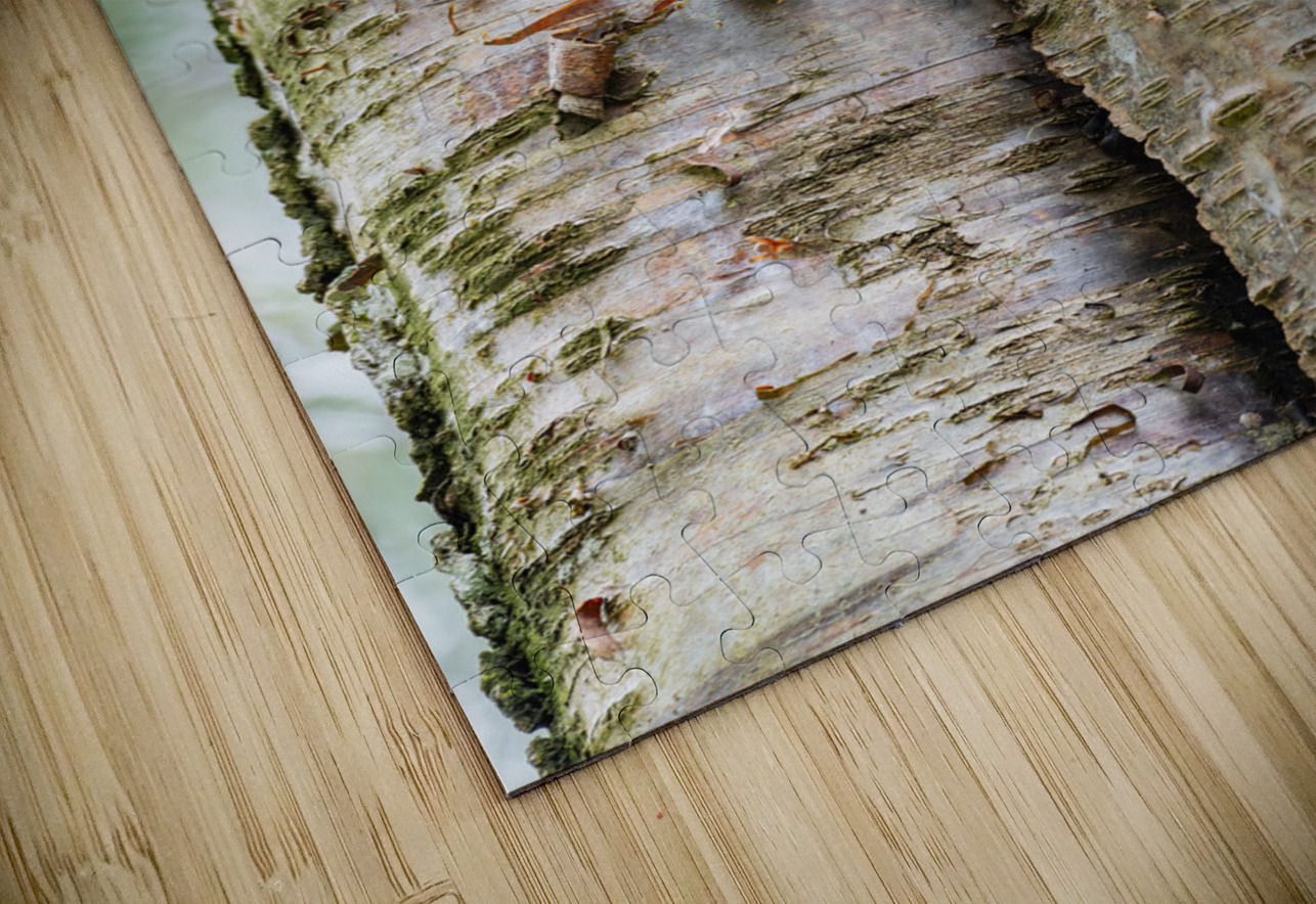 Western Screech Owl Randy Tremblay Photography Puzzle
