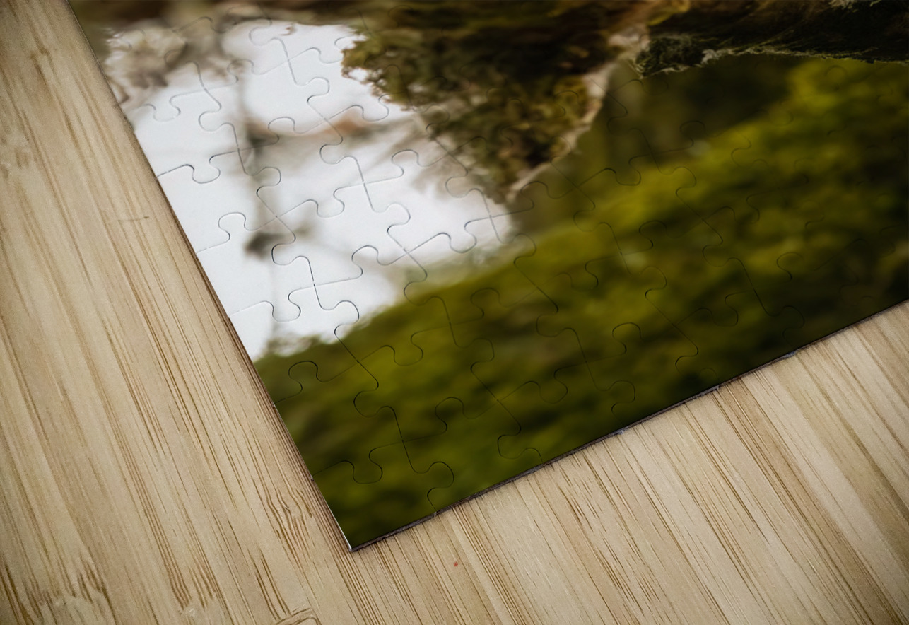 Barred Owlet Randy Tremblay Photography Puzzle