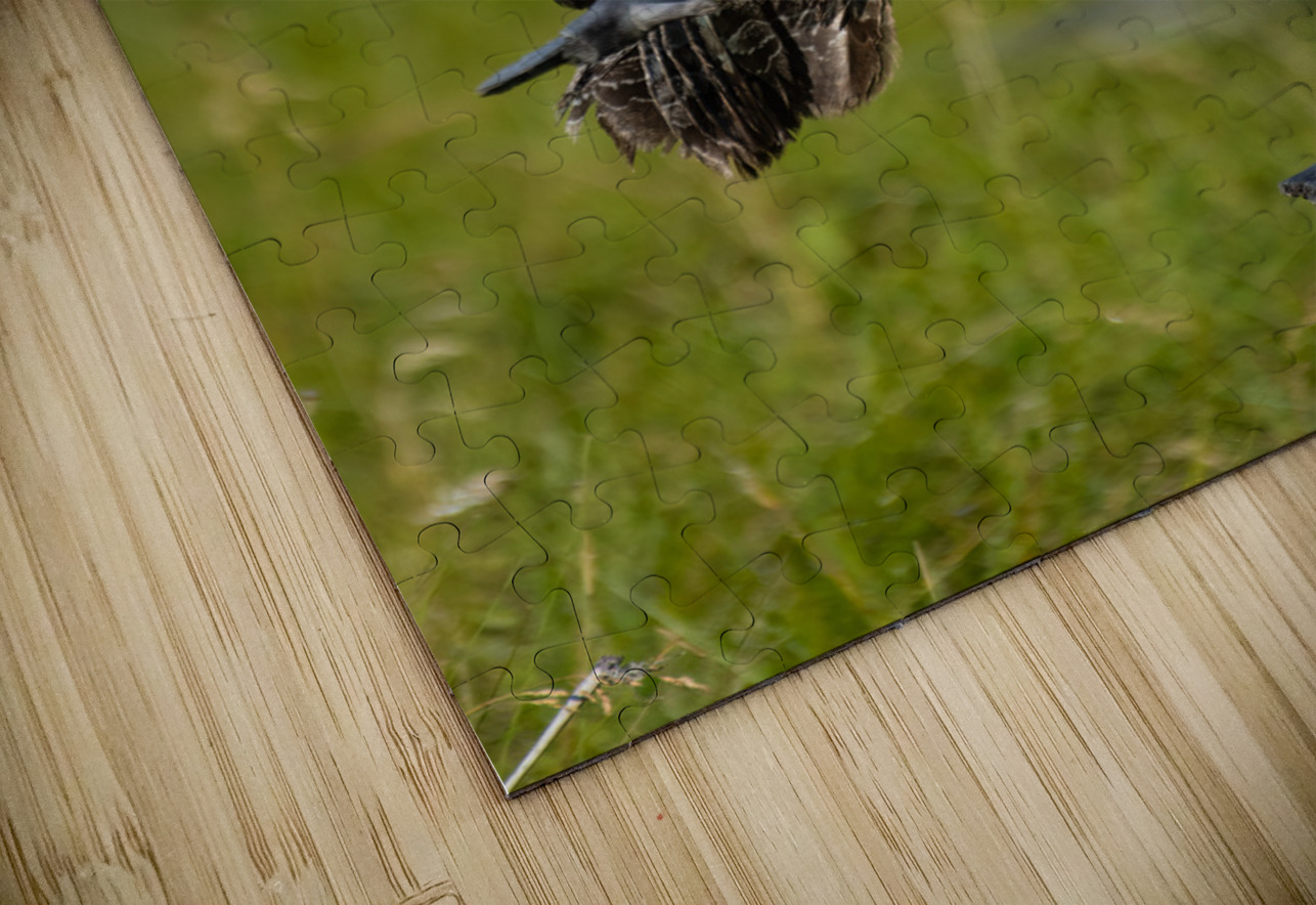 Great Gray Owl Randy Tremblay Photography Puzzle