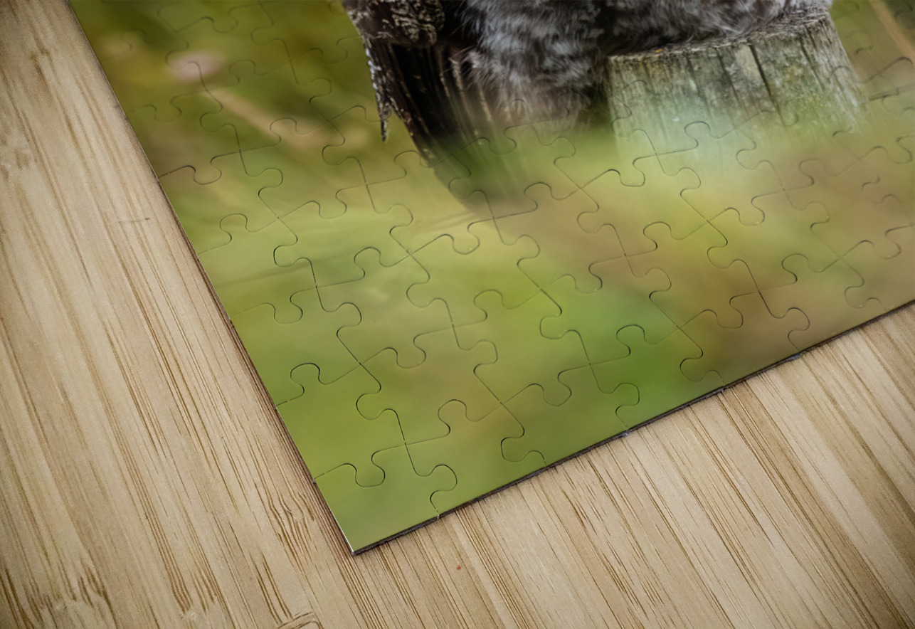 Great Gray Owl Randy Tremblay Photography Puzzle