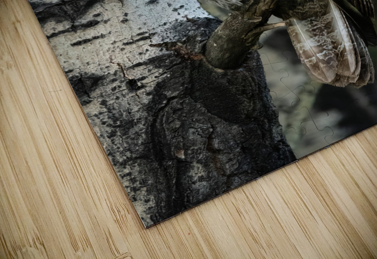 Great Gray Owl Randy Tremblay Photography Puzzle