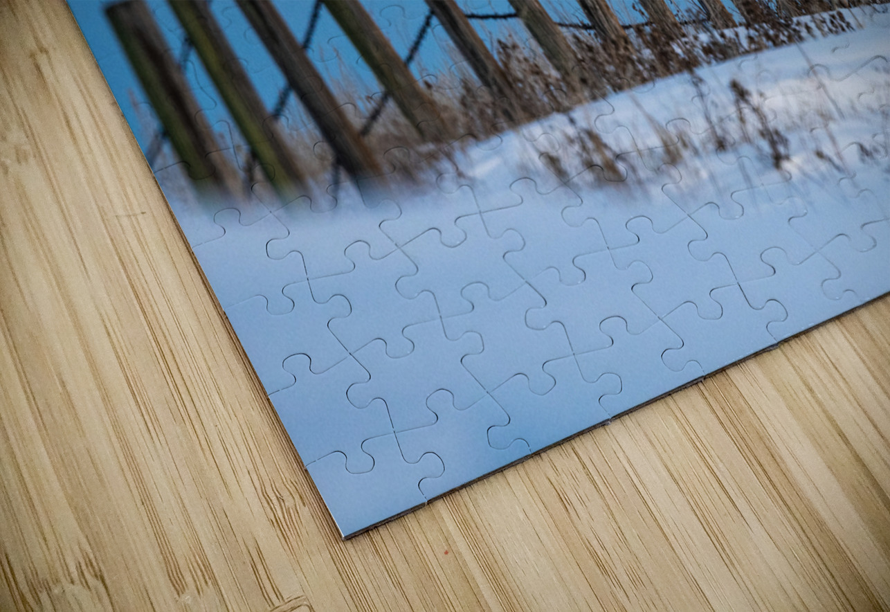Snowy Owl Randy Tremblay Photography Puzzle