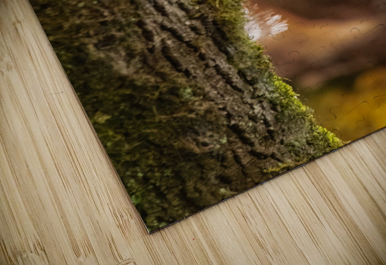 Barred Owlet Randy Tremblay Photography Puzzle