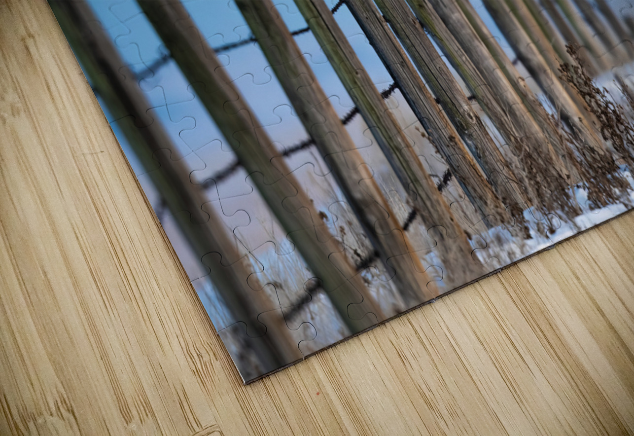 Snowy Owl Randy Tremblay Photography Puzzle