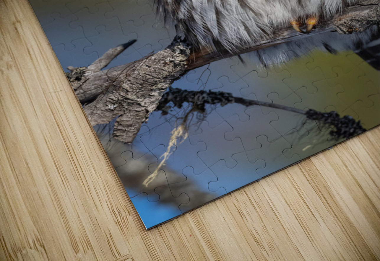 Northern Pygmy Owl Randy Tremblay Photography Puzzle