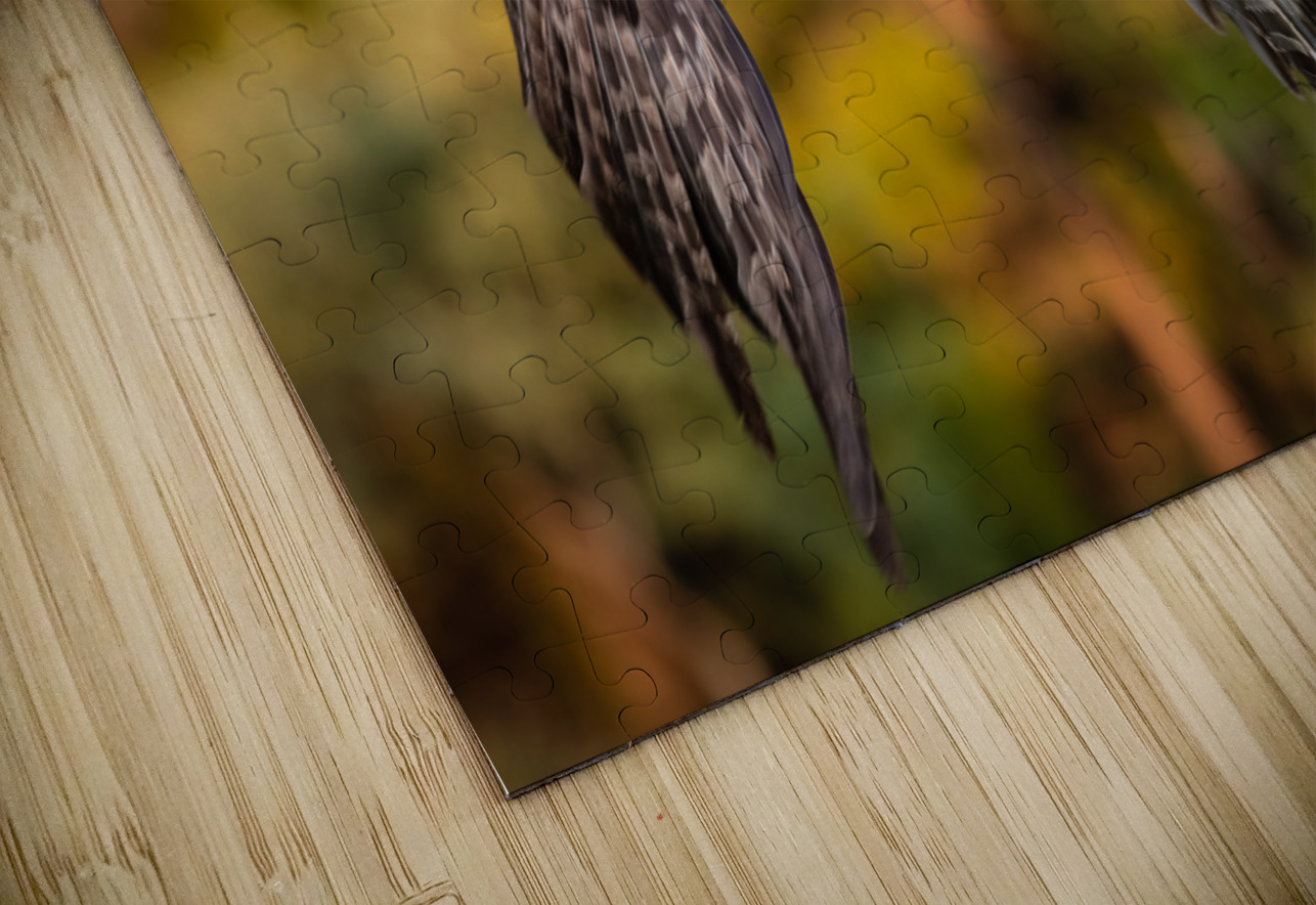 Great Gray Owl Randy Tremblay Photography Puzzle