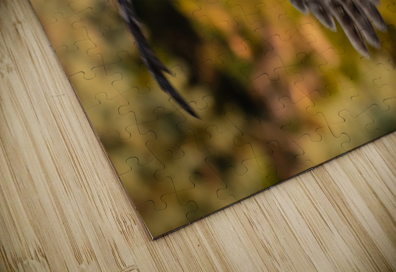 Great Gray Owl Randy Tremblay Photography Puzzle