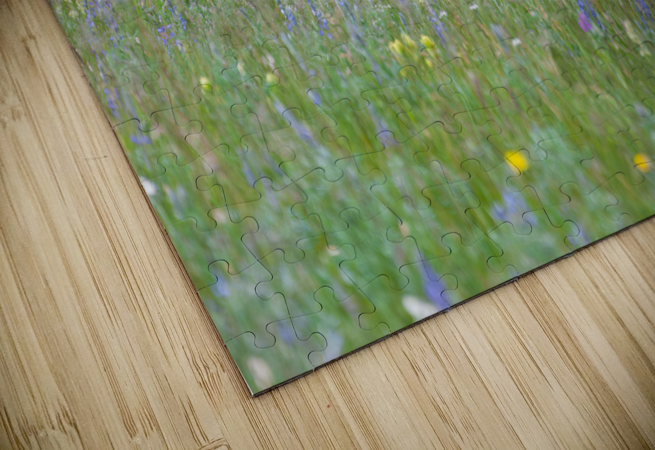 Black Bear Randy Tremblay Photography Puzzle