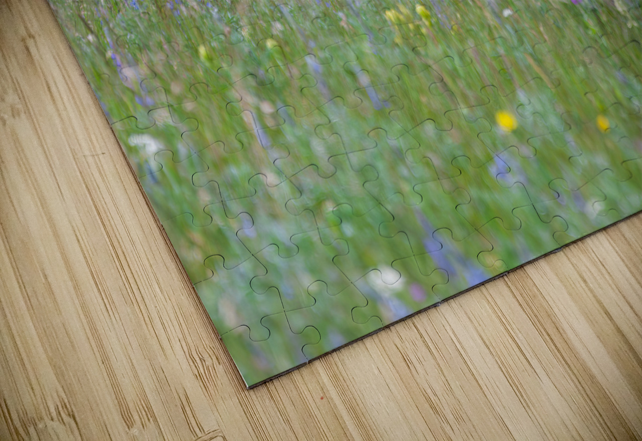 Black Bear Randy Tremblay Photography Puzzle