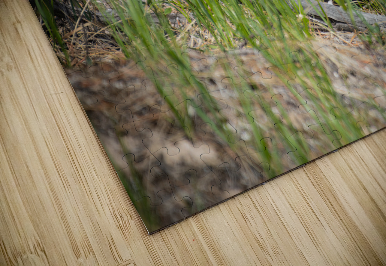 Black Bear Cub Randy Tremblay Photography Puzzle