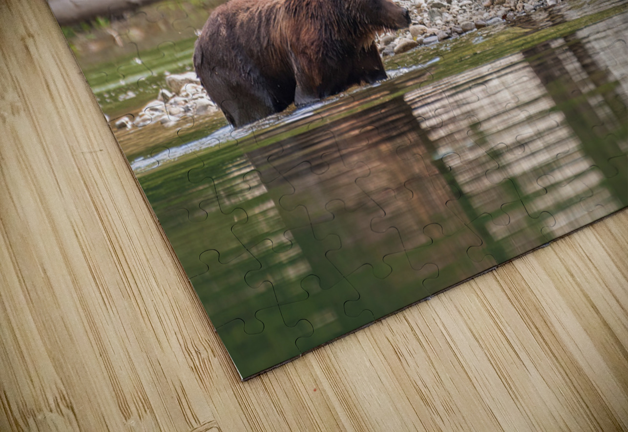 Grizzly Sow with Cubs Randy Tremblay Photography Puzzle