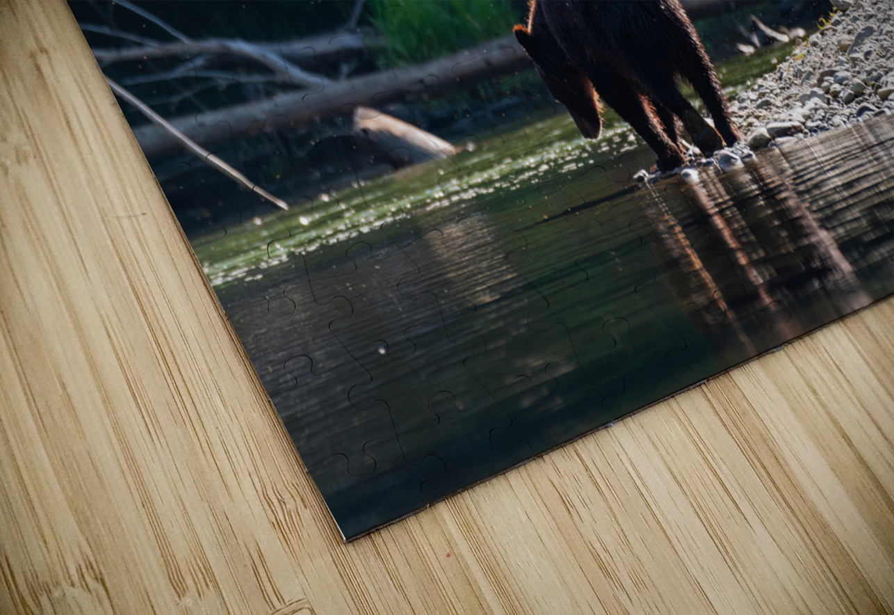 Grizzly Sow Randy Tremblay Photography Puzzle