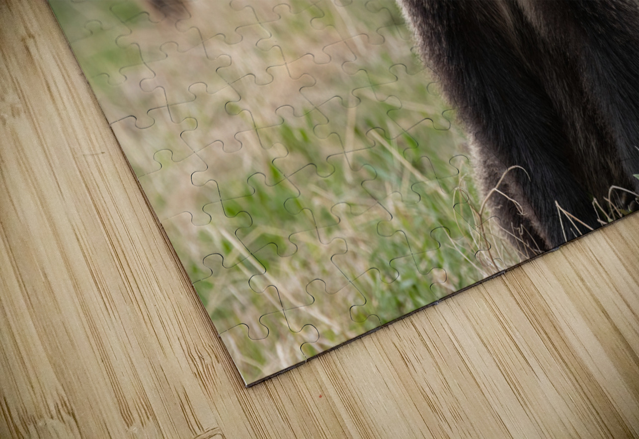 Grizzly Siblings Randy Tremblay Photography Puzzle
