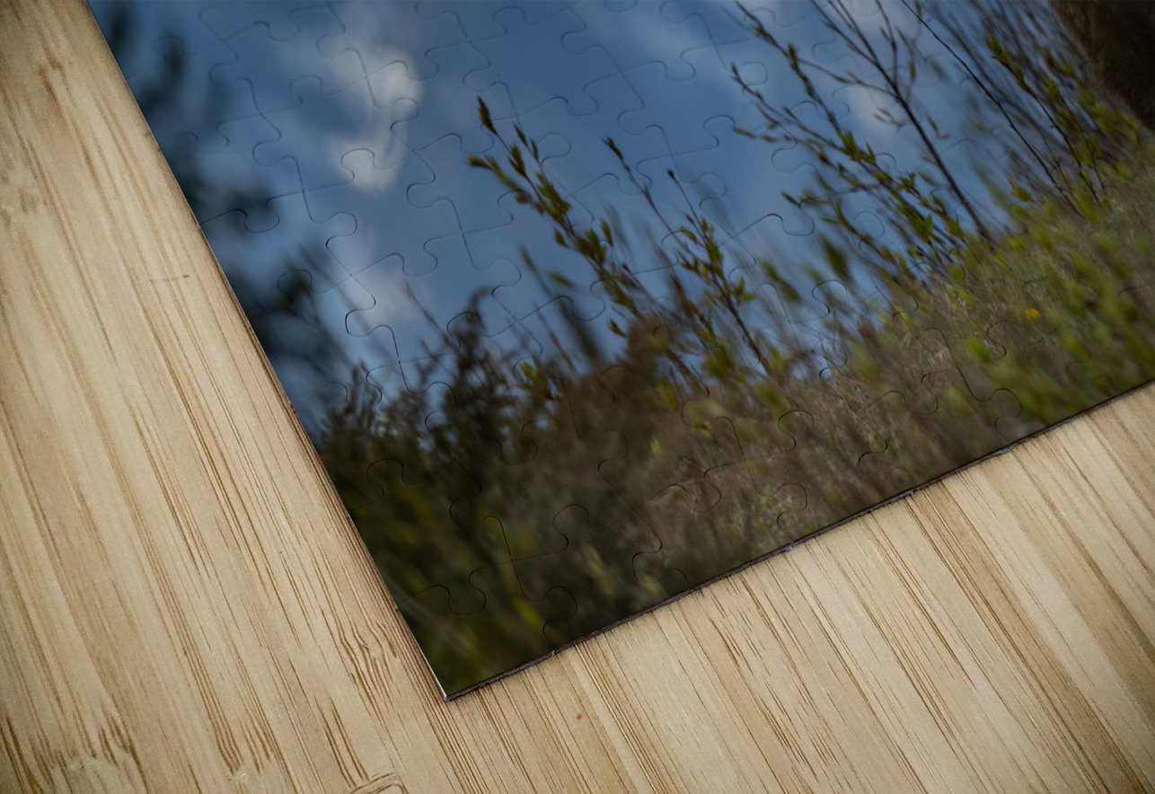 Grizzly Boar Randy Tremblay Photography Puzzle