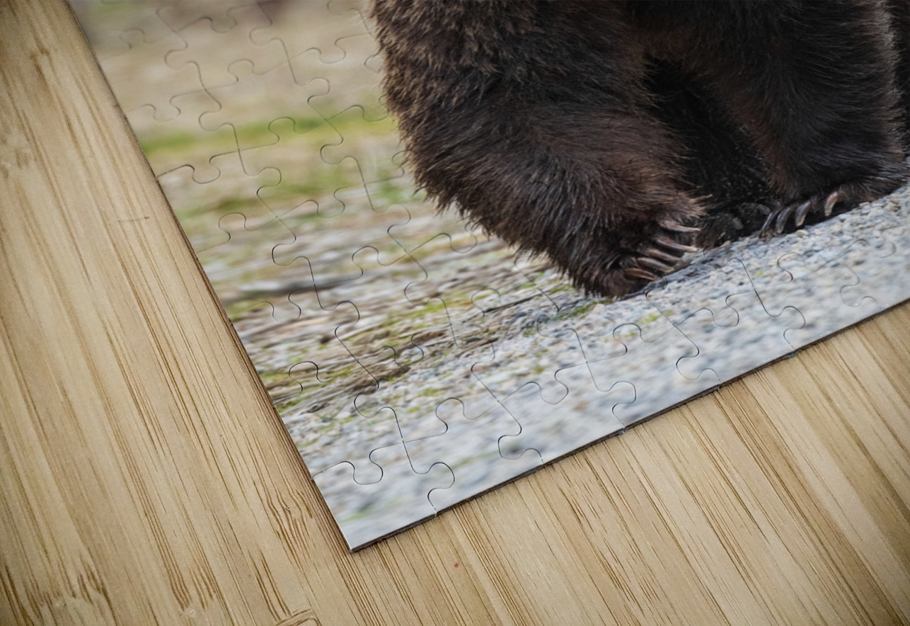Grizzly Boar Randy Tremblay Photography Puzzle