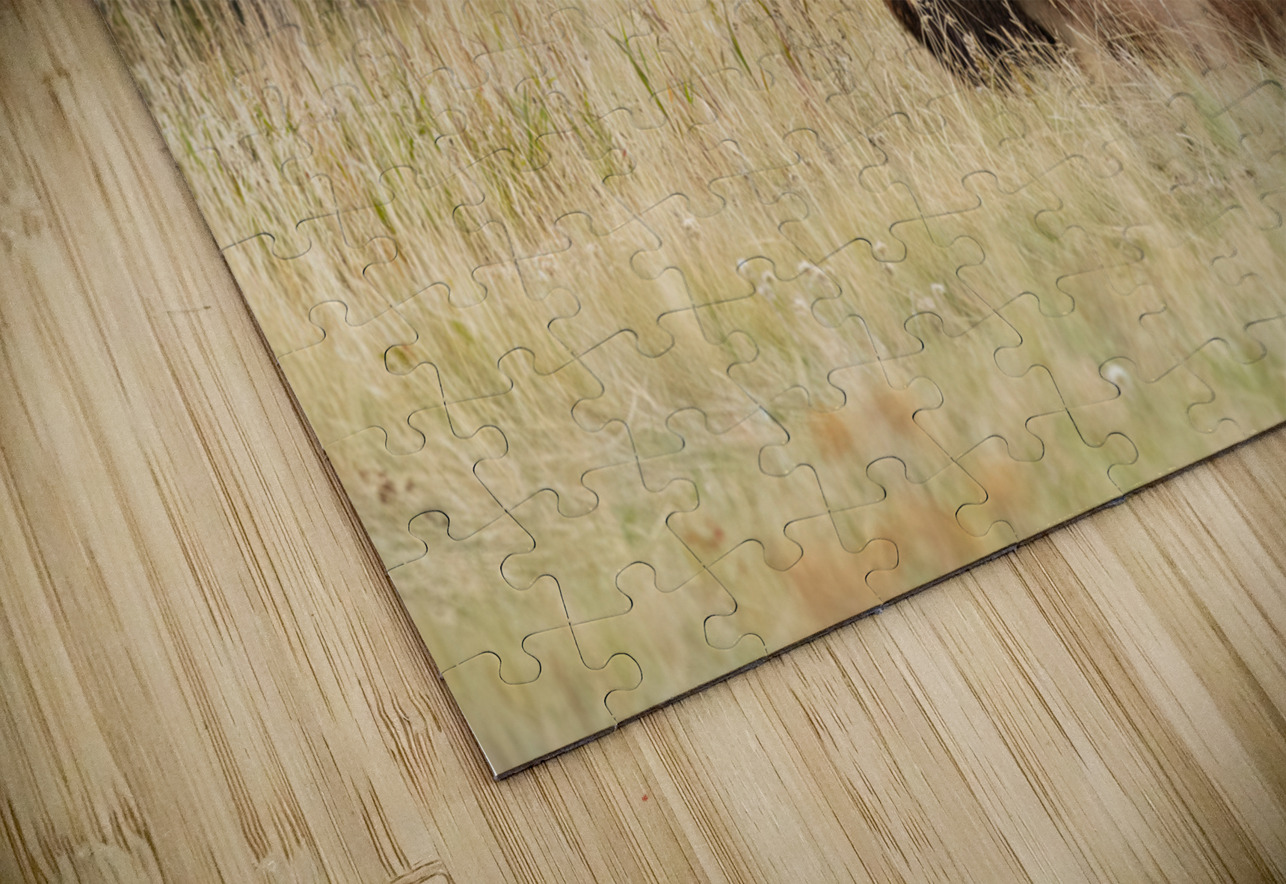 Bull Elk Randy Tremblay Photography Puzzle