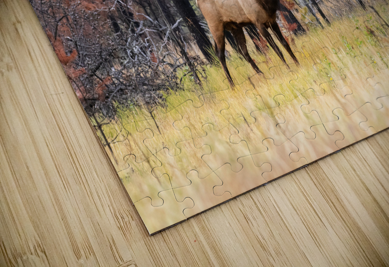 Bull Elk Randy Tremblay Photography Puzzle