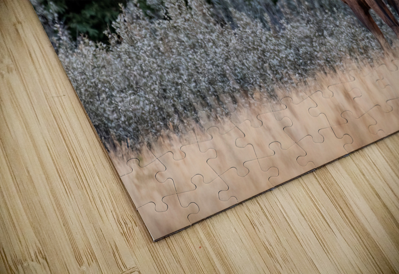 Bull Elk Randy Tremblay Photography Puzzle