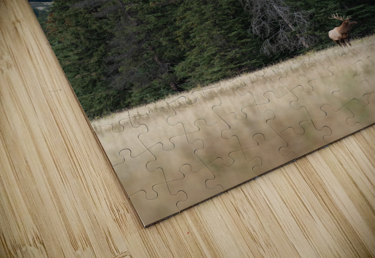 Bull Elk Randy Tremblay Photography Puzzle