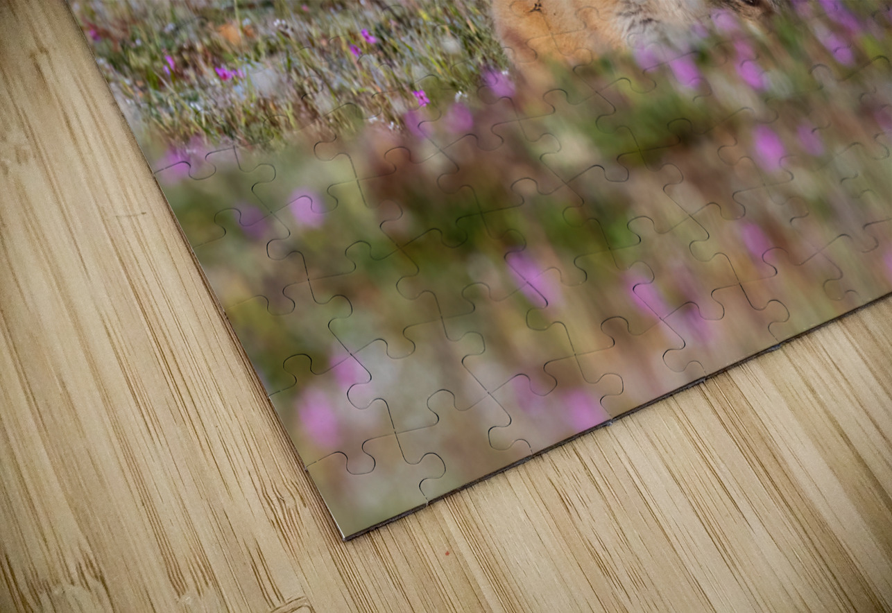 Red Fox Kits Randy Tremblay Photography Puzzle