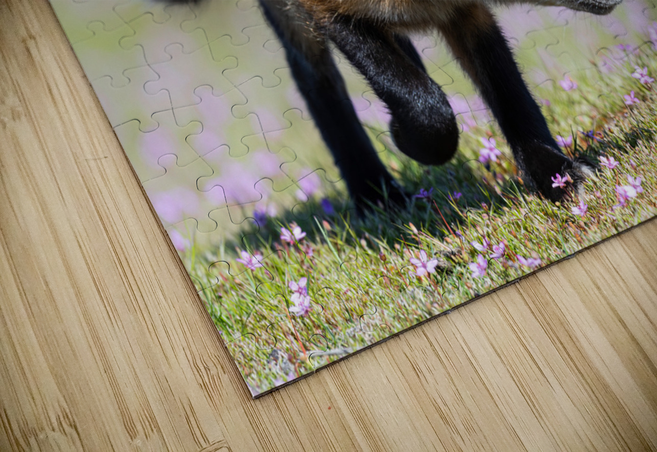 Red Fox Kit Randy Tremblay Photography Puzzle