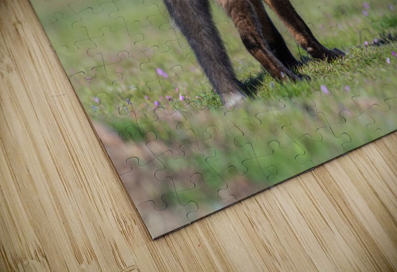 Red Fox Kit Randy Tremblay Photography Puzzle