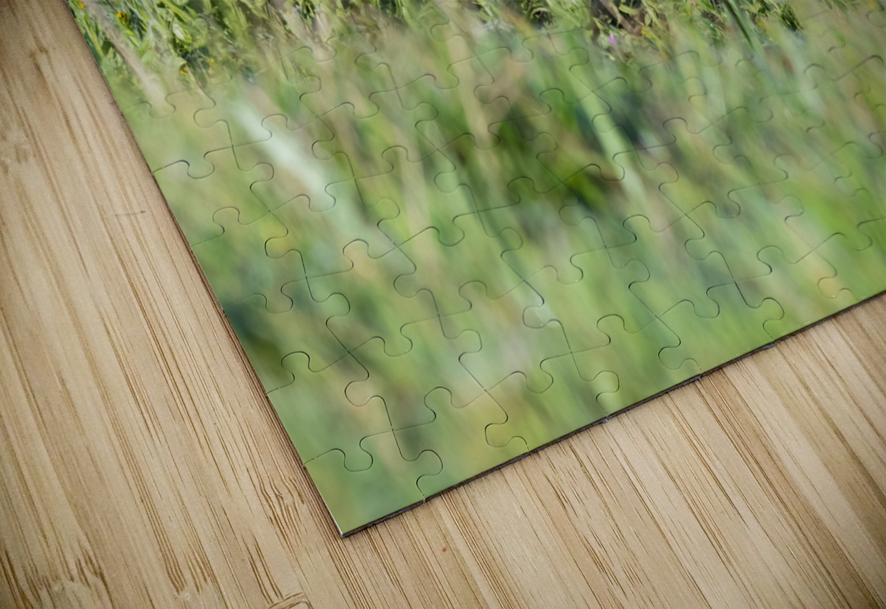 Red Fox Kits Randy Tremblay Photography Puzzle